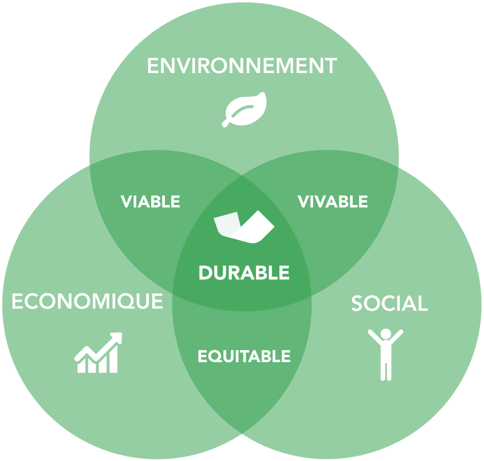Tricycle-Environnement-notre-demarche-RSE-environnement-social-economie-developpement-durable